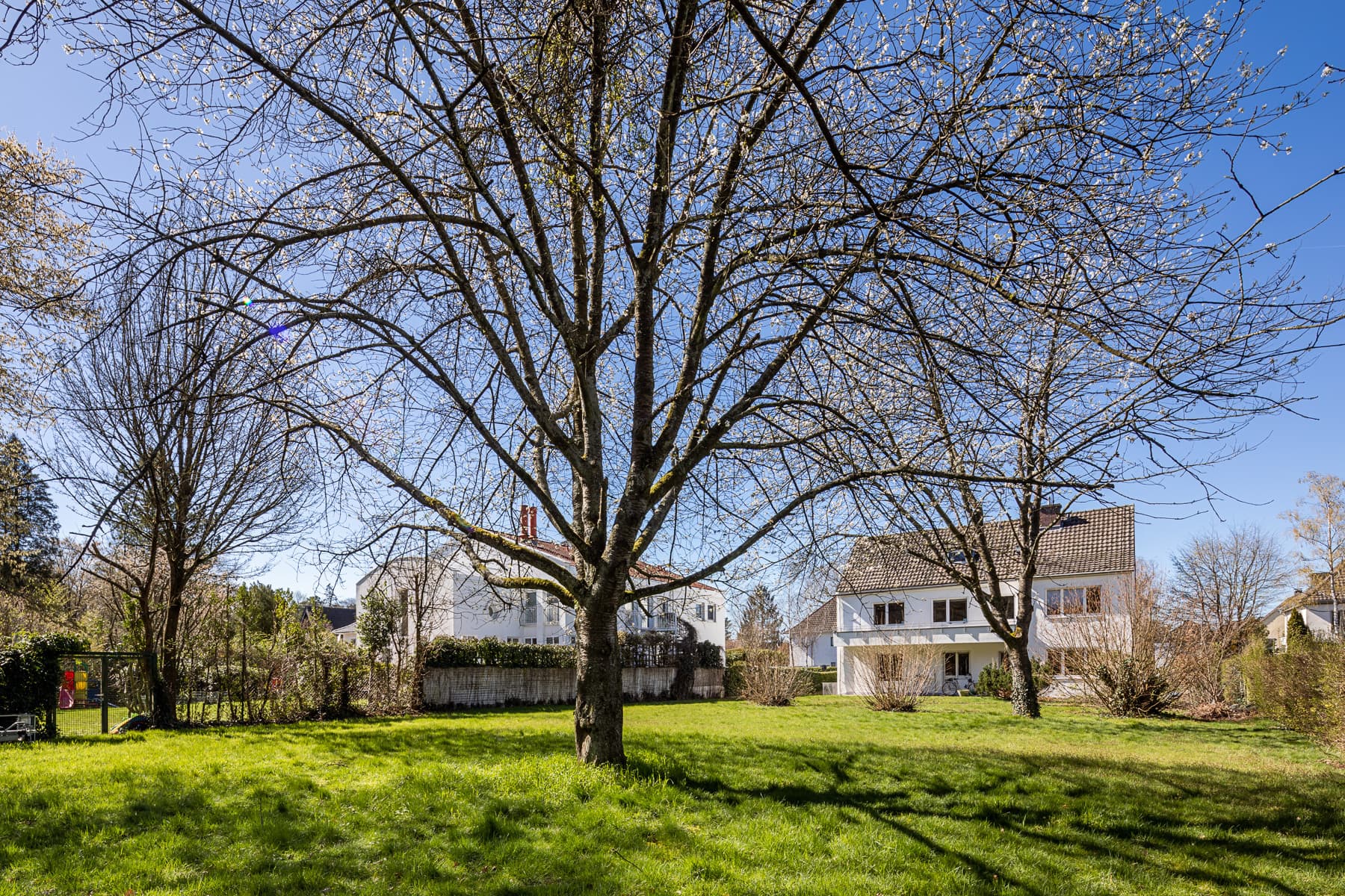 Gartenfläche