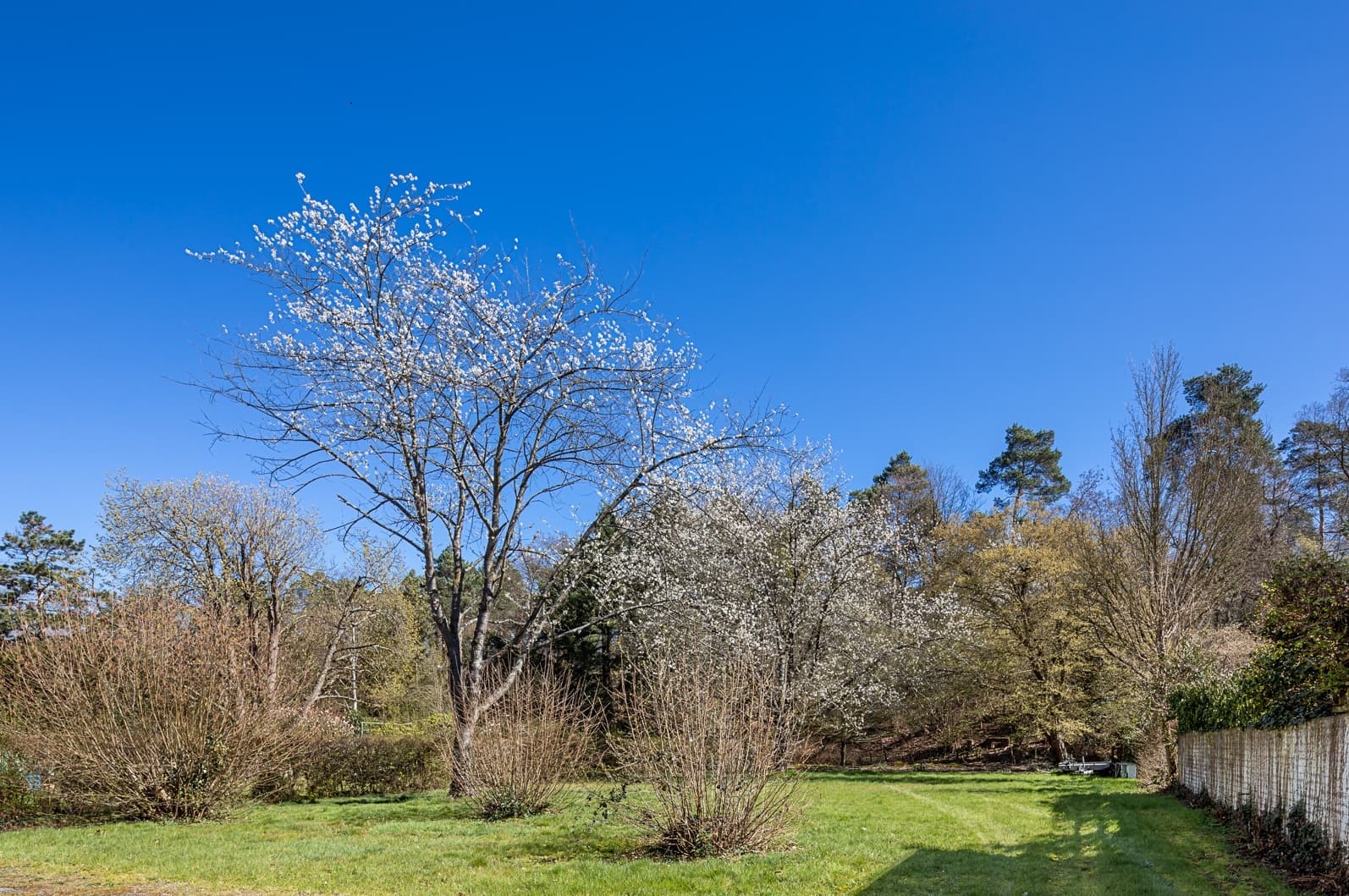 Gartenfläche