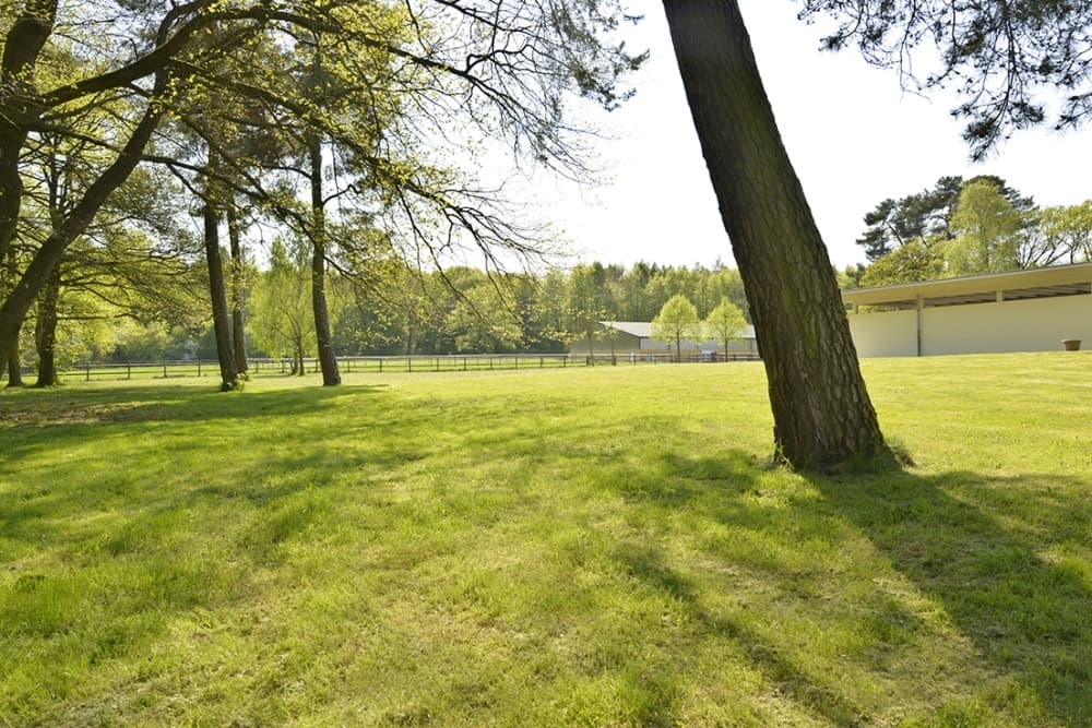 Parklandschaft