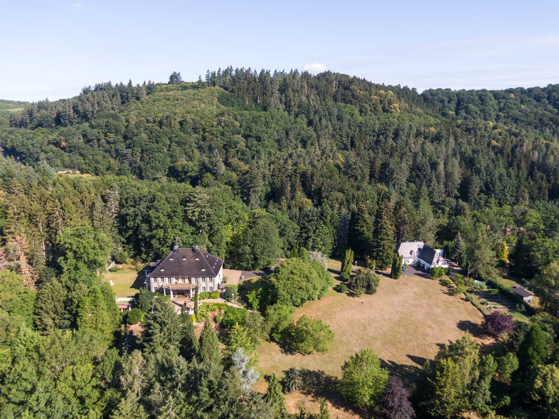 Luftbild Villa und Gästehaus